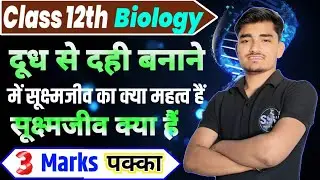 सूक्ष्मजीव क्या है | दूध से दही बनाने में सूक्ष्मजीव का क्या महत्व हैं | 12th biology 2025