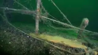 Terra wreck 2014