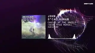 John O'Callaghan - Choice Of The Angels (Sean Tyas Remix)
