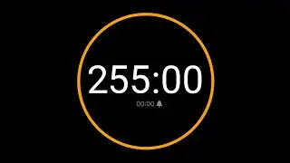 255 Minute Timer with Alarm