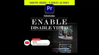 ENABLE | HIDE CLIP | ADOBE PREMIERE PRO | 