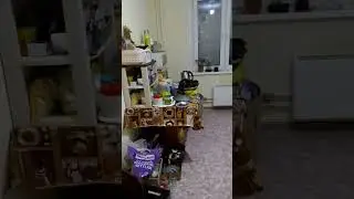 2 февраля 2024 г.