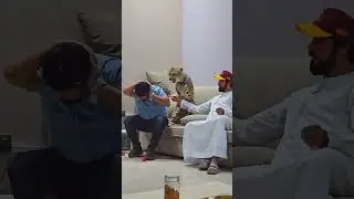 hath mat laga apni aukat me ro #tiger #funnyvideo #viral #ytshorts #online #trending