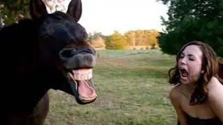 Самые КРУТЫЕ ВИДЕО за сентябрь 2015 ЛУЧШЫЙ СБОРНИК ВИДЕО ПРИКОЛОВ