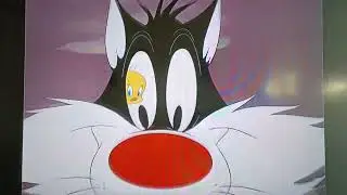bad old putty cat