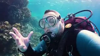 Tauchgang im roten Meer - Diving Red Sea - Egypt - Underwater Video 4K - Reef Dive