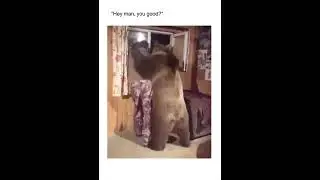 Just a normal morning in Russia