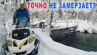 На снегоходах к незамерзающей реке. Лесная изба в чудесном лесу.
