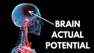 What If We Use 100% of our Brain Power?