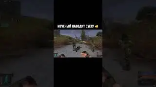 Суета от Меченого #stalker #shorts #shortvideo #меченый #атп #петруха #пуля #свобода