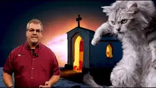 Genesis Apologetics K8 Student Zone-What if it is True (6-8 grade)