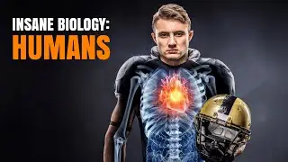 Insane Biology of Humans