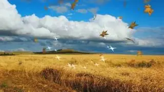 МОЯ ДЕРЕВНЯ ПРИРЕЧНОЕ