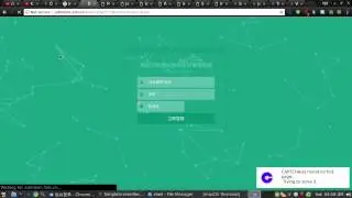 Bypass Captcha