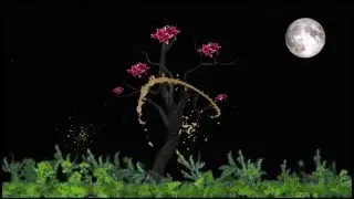 Magic forest