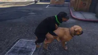 GTA 5 от первого лица VRBOX 3.0 Plus Premium #1 еБля собак