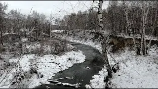 Первый выезд в лес за зайцем  Пошел снег! Следов много! Лес как всегда прекрасен.