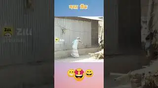 dada ko 1st prank