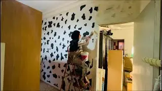 تعالو شوفو عملت ايه هتجددي دهان شقتك بالكامل فى لمح البصر من غير خطوات كتير 🤩ربنا اذا اراد شئ بيكون