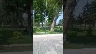 Qo‘qon xonligi bog‘