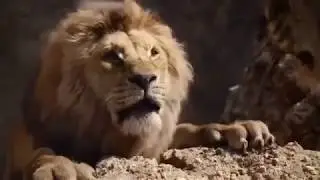 Long Live the King HD