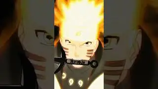 Team-7 Grown up