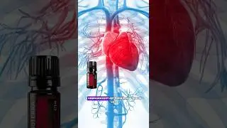 Свойства эфирного масла - Роза дамасская 🌹 подписывайтесь💜 и смотрите полное видео💜 #ароматерапия