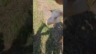 Что ни день, то праздник😊 Неделя неожиданных подарков🥰
