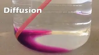 Diffusion