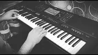 LIAN ROSS "Say You"ll Never (cover version)