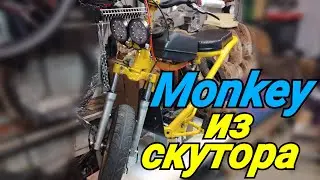 Monkey из скутора.