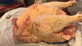 Homegrown Chicken vs Store Bought