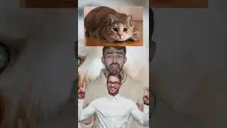 Do you have a cat at home? What breed is it? 