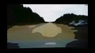 Белая птица