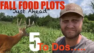 5 To Dos for Fall Whitetail Food Plots