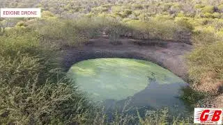 A CAATINGA NA FAZENDA QUEIMADA NOVA, SERRA PRETA_BA 2024