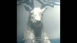Тень и кисти