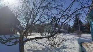 Деревенские будни - март. Утки несутся / сажаем рассаду