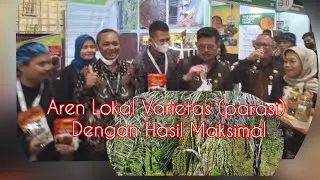 Aren Varietas Lokal Hasil Maksimal