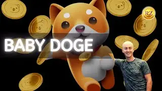 What Is Baby Doge Coin? Baby Dogecoin Review!