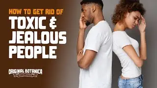 How To Get Rid of Toxic and Jealous People