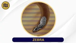 Zebra - Camouflage of Nature Gilded 5 Oz Silver Coin