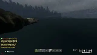 Logging In To Danger — DayZ