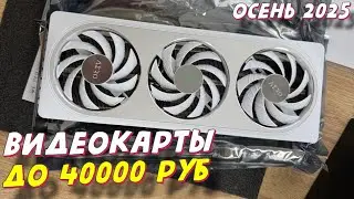 Video cards up to 40,000 rubles in 2025