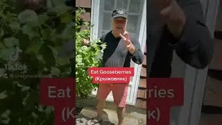Eat Gooseberries (Крыжовник)