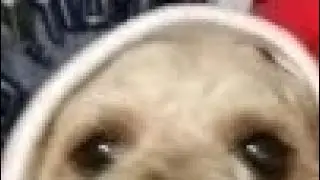Dibujo xd