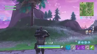 Fornite battle royale