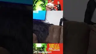 #aralpuppet #ariel #arielnoahterbaru
