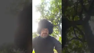Поэты казачьего рода