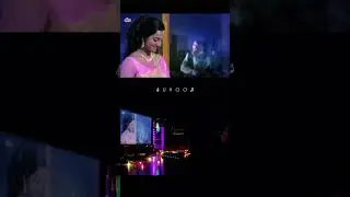 4K - O Mere Dil Ke Chain - Mandolin Cover (10-APRIL-2024) #mandolin #music #omeredilkechain